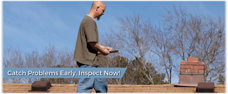 Chimney and Fireplace Inspection Williamsburg VA